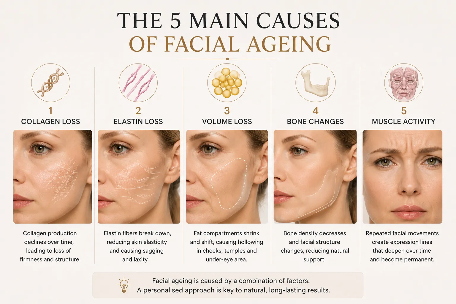Five main causes of facial ageing collagen elastin volume loss bone changes muscle activity