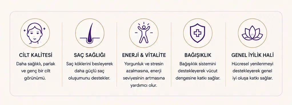 IV eksozom tedavisi s&uuml;re&ccedil; zaman &ccedil;izelgesi infografiği