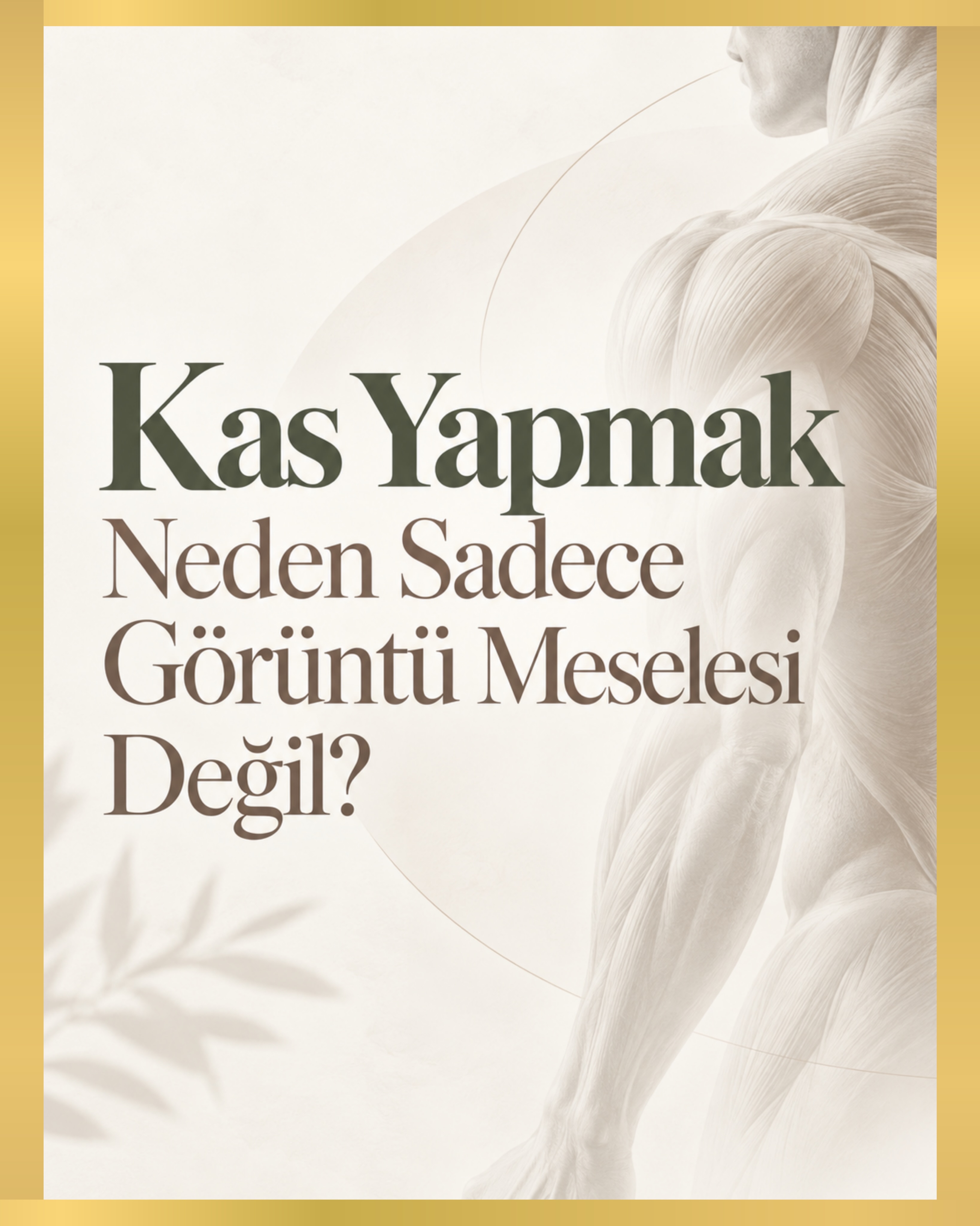 Kas yapmak yalnızca aynadaki görüntüyü değiştirmez. Kas dokusu hareket kabiliyetini destekler, eklemlerin daha kontrollü çalı